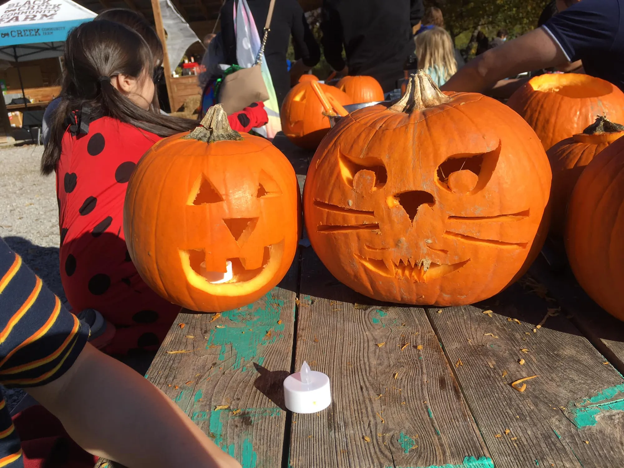 Children carving pumpkins and having fun